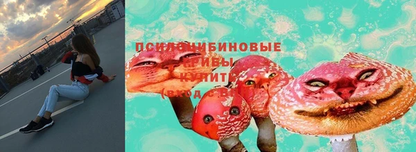 экстази Карпинск