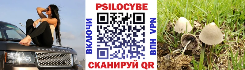 darknet наркотические препараты  Уяр  Галлюциногенные грибы Magic Shrooms 